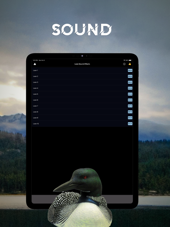 Screenshot #5 pour Loon Sound Effects