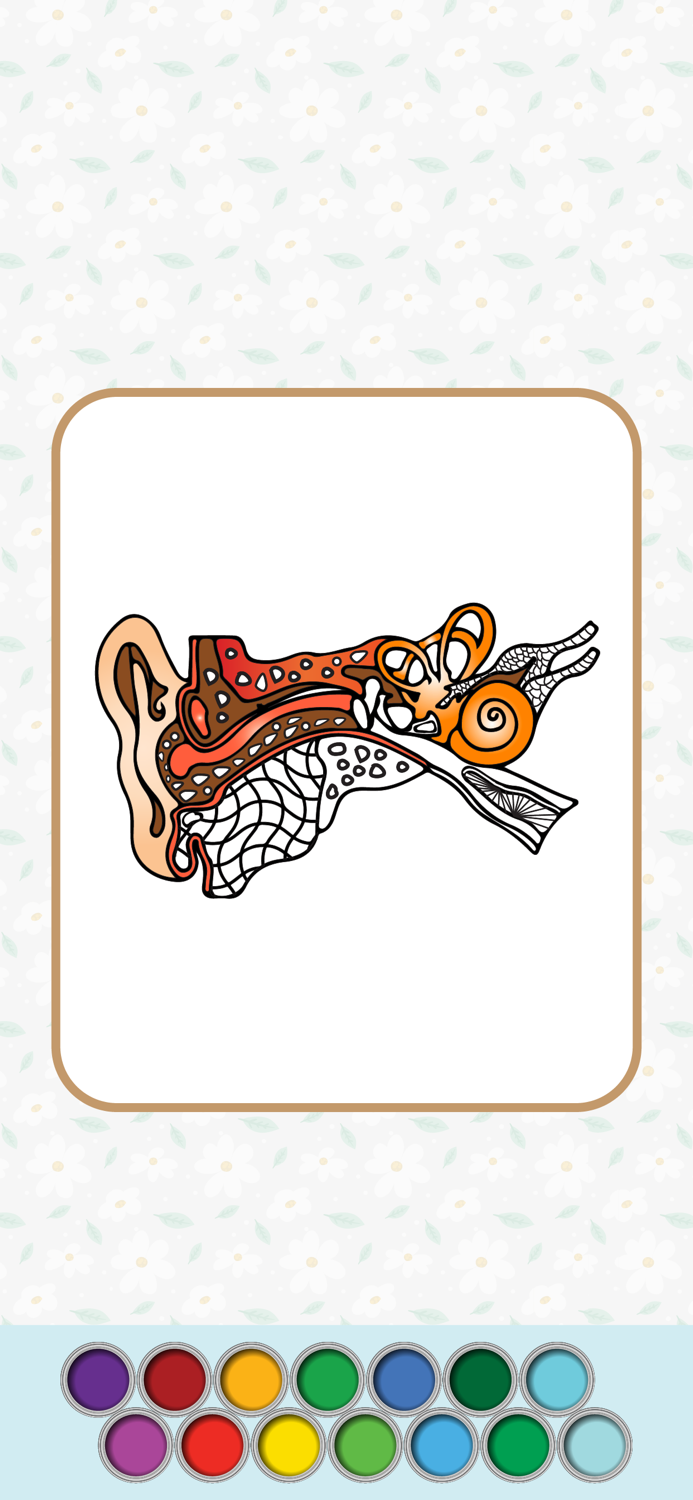 Anatomy Coloring Book.