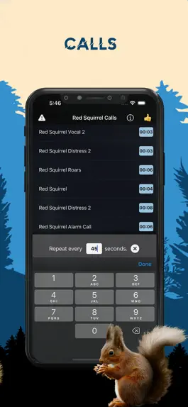 Game screenshot Red Squirrel Magnet Calls hack