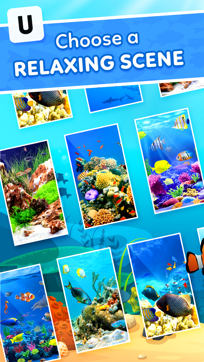 Word Splash Cross Words Game