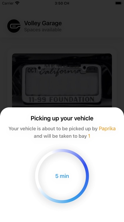 Volley Parking screenshot-8