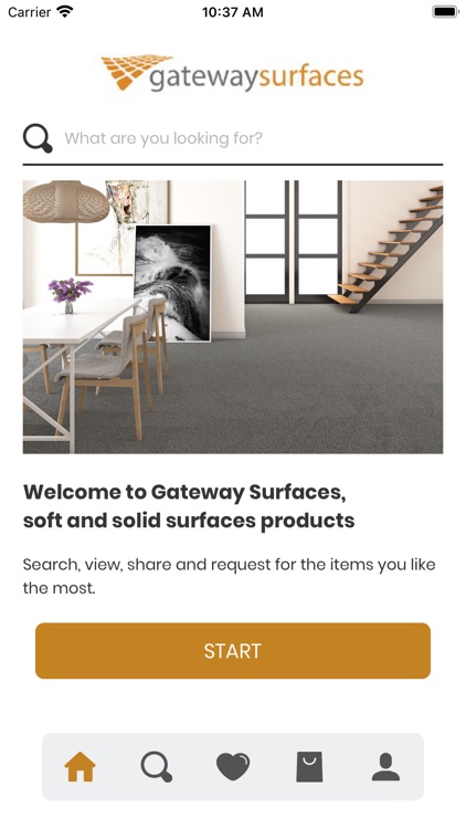 Gateway Surfaces