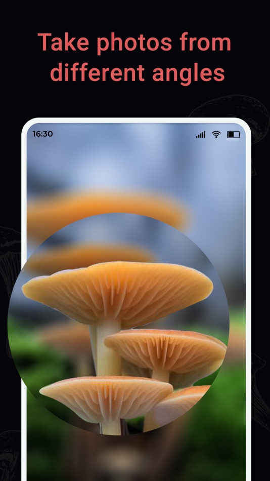 #4. USA Mushroom Identification (iOS) Podle: Shreyaskumar Patel
