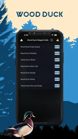 Game screenshot Wood Duck Magnet - Duck Calls mod apk