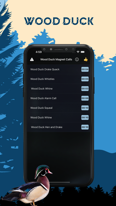 Wood Duck Magnet - Duck Calls Screenshot