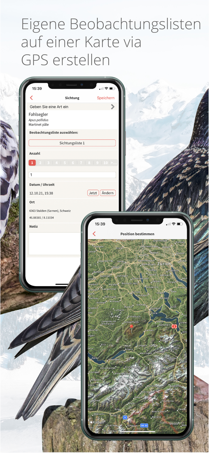 Vogelführer Birdlife Schweiz