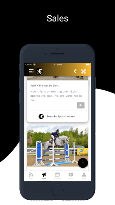 Bosanko Sports Horses Screenshot