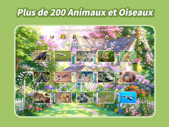 Screenshot #4 pour BabyCollie:200 Animaux Oiseaux