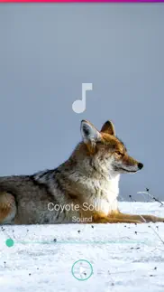 How to cancel & delete coyote sounds pro 3