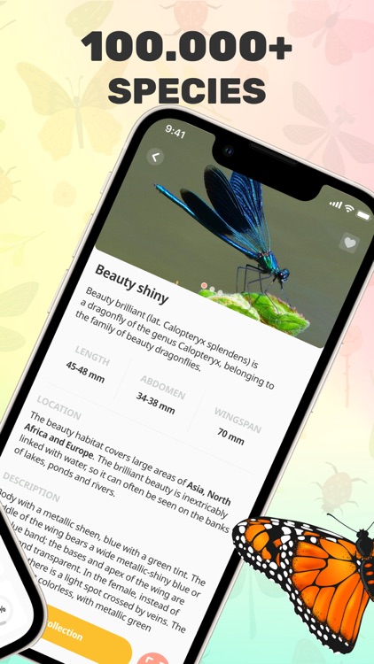Bug Identifier App by ElevenThirteen LLC
