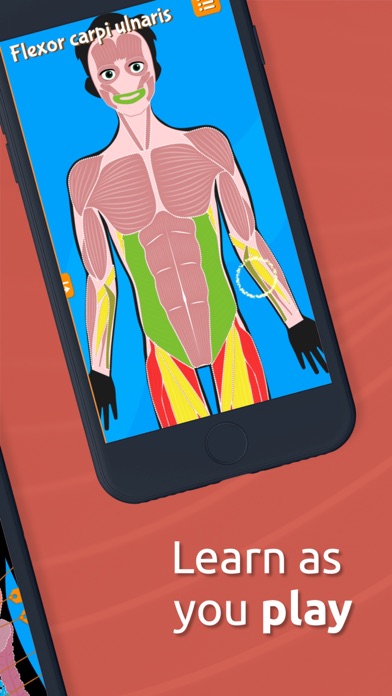 Anatomix - Human Body Systems Screenshot