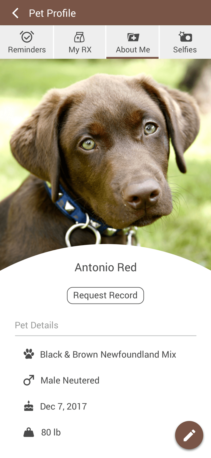 Bayonne Animal Hospital