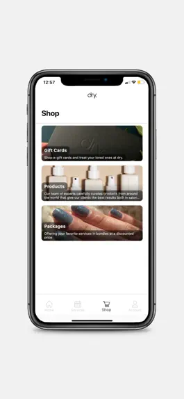 Game screenshot dry. Boutique Salon hack