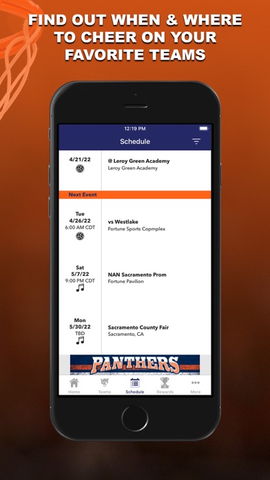 Fortune Panthers Screenshot