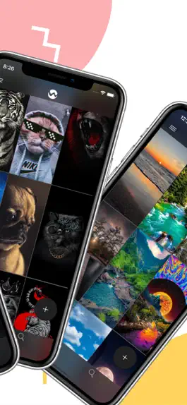 Game screenshot Wallzer - Find New Wallpapers hack