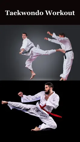 Game screenshot Taekwondo Workout At Home mod apk