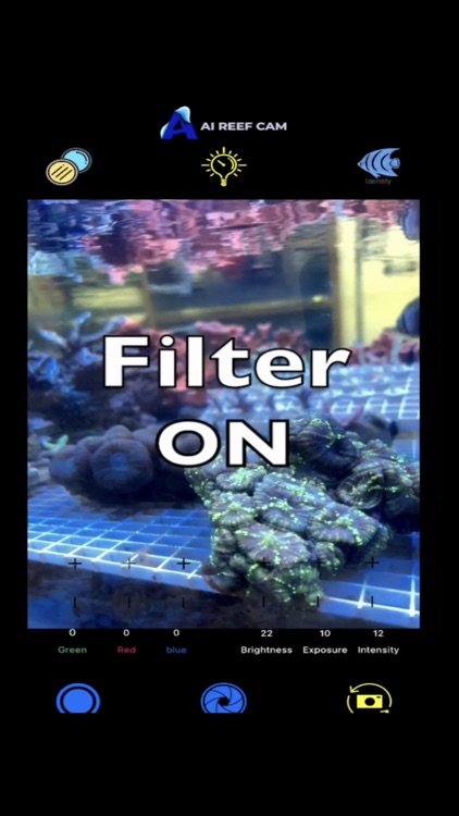 AI Reef Cam screenshot-0