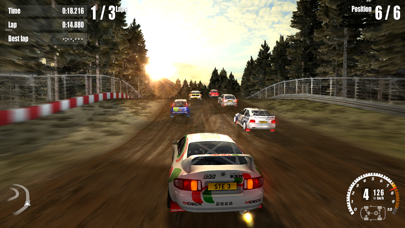 Rush Rally 3 screenshot1