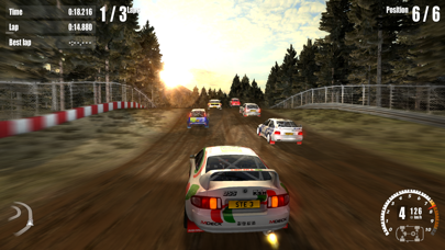 Rush Rally 3 Screenshot