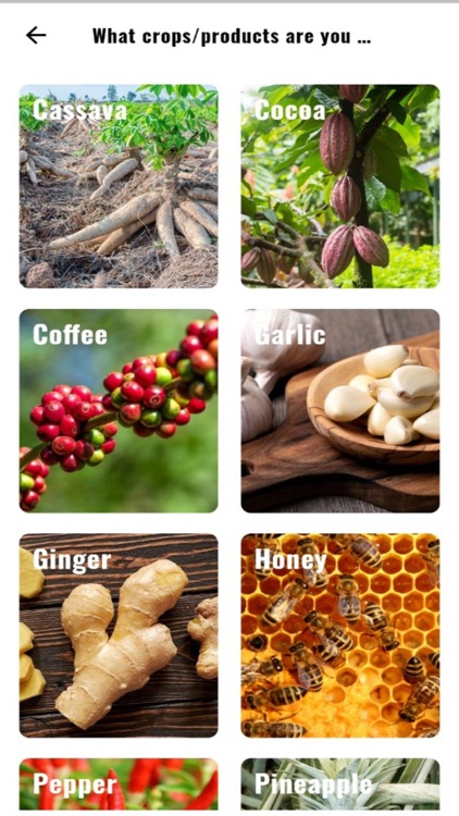 SproutBASE screenshot-3