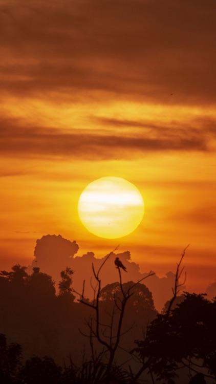 Uganda Wallpapers screenshot-9