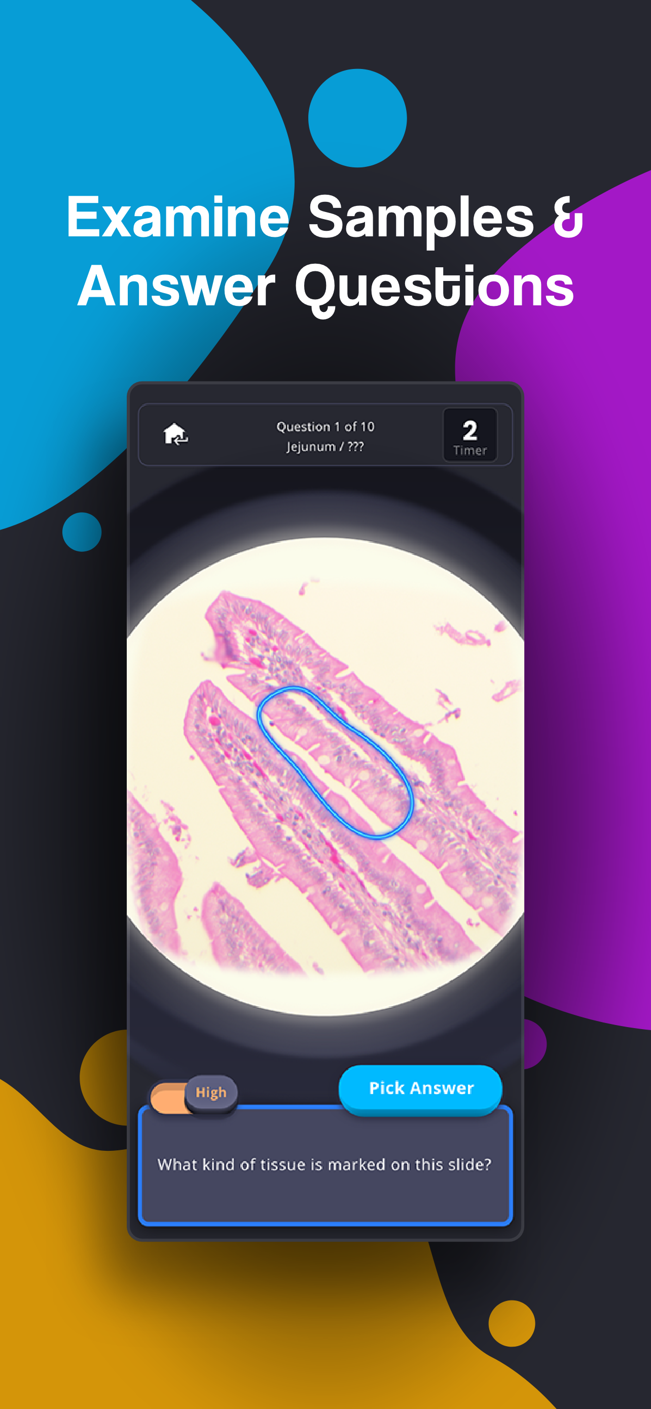 HistoLogic