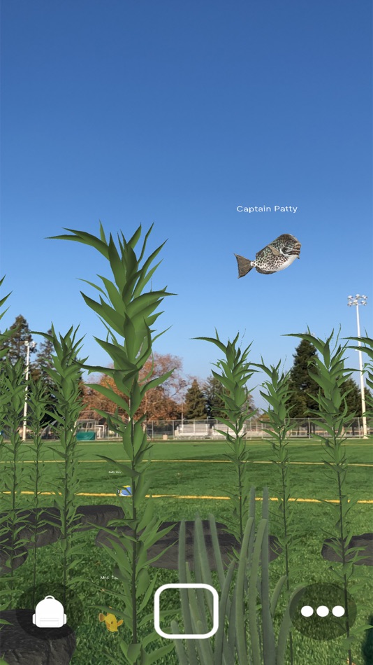 #5. Magic Fish AR (iOS) 由: Near Future Marketing Inc.