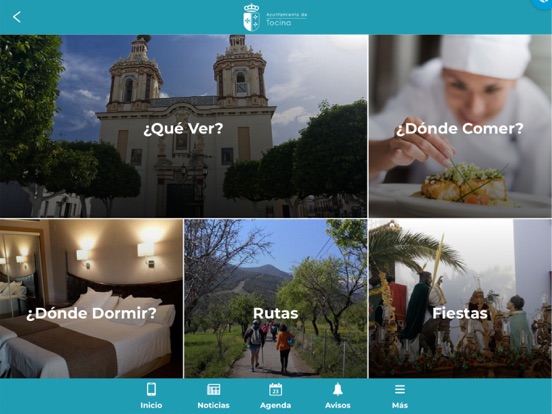 Screenshot #6 pour Ayuntamiento de Tocina