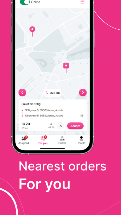 Driver PiNK.Ex Screenshot