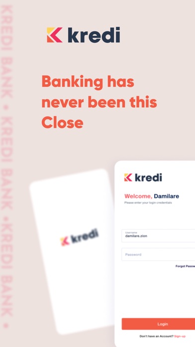 Kredi Agency Banking Screenshot
