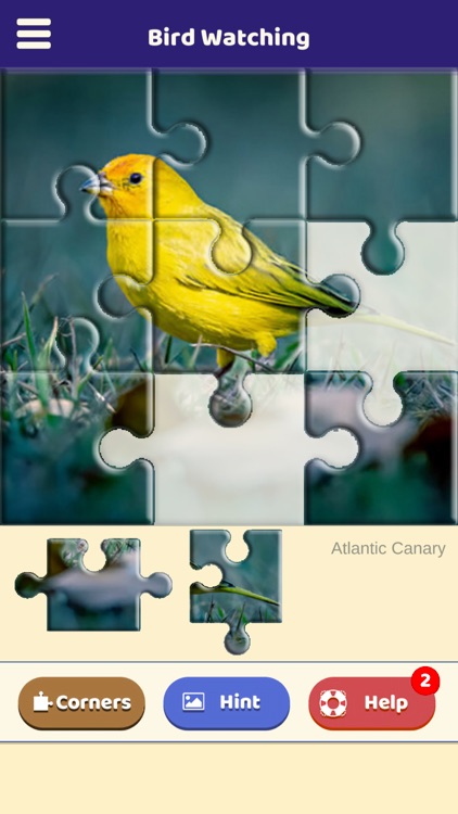 Bird Watching Puzzle