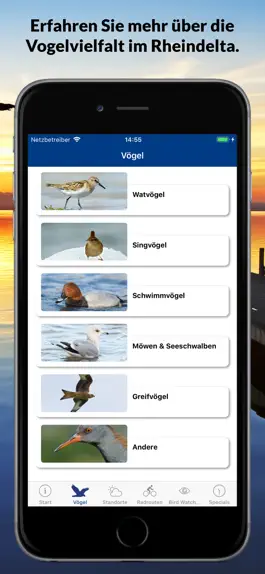 Game screenshot Birds Club apk