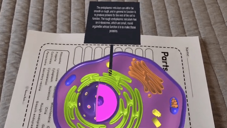 Sprout Anatomy AR screenshot-4