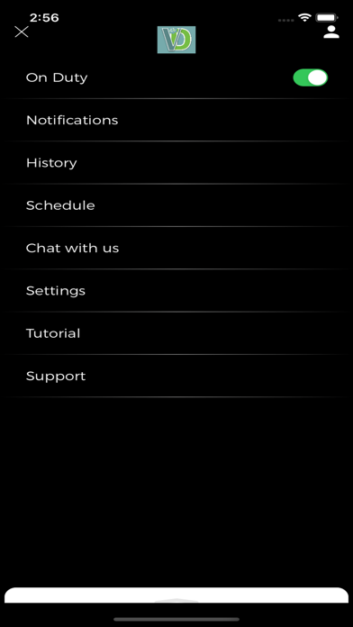 Viseronline Driver Screenshot