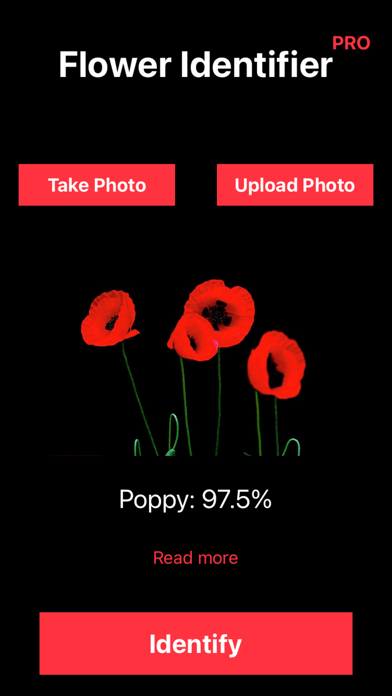 Identify Flower Plant by Photo Screenshot