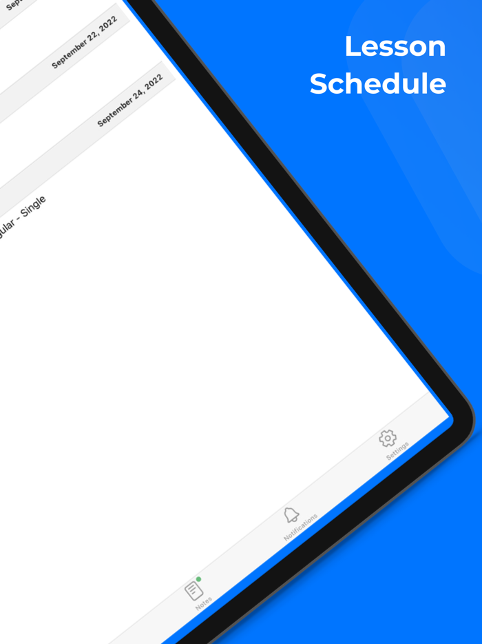 IT Teen online school