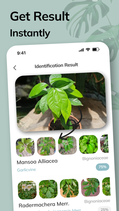 Plant Pic: AI plant Identifier Screenshot
