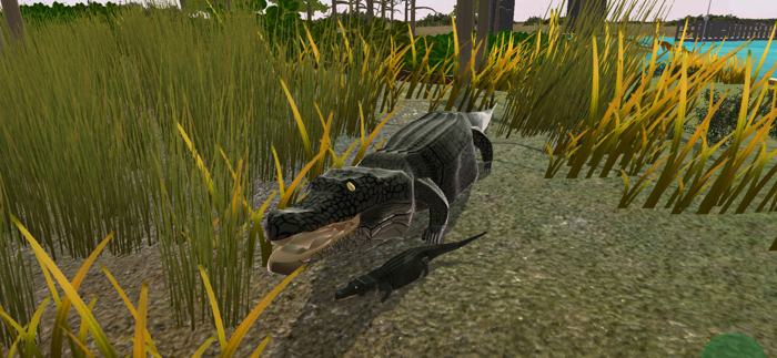 Everglades presented by MAGIC