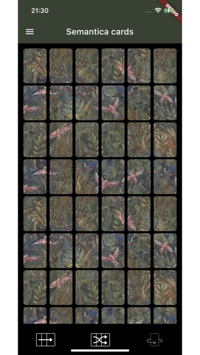 Semantica cards Screenshot