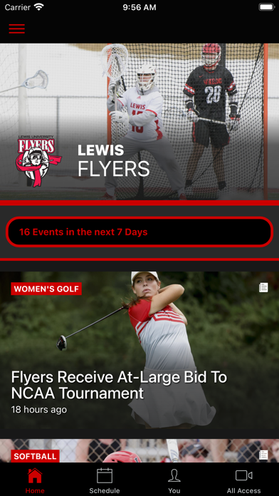 Lewis Flyers Screenshot