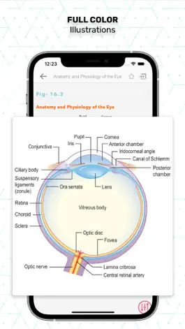 Game screenshot Essentials Clinical Medicine hack
