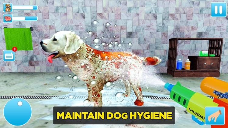 Animal Shelter Dog Rescue Game screenshot-3