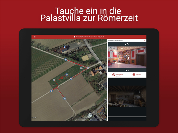 Palastvilla Mauchenheim