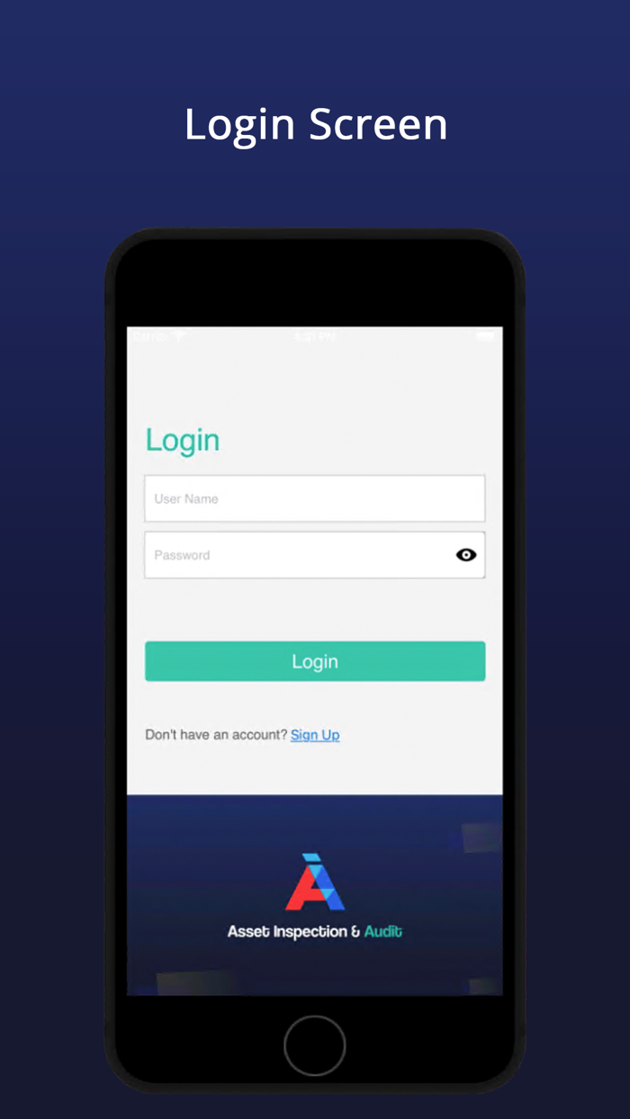 Asset Inspection  Audit