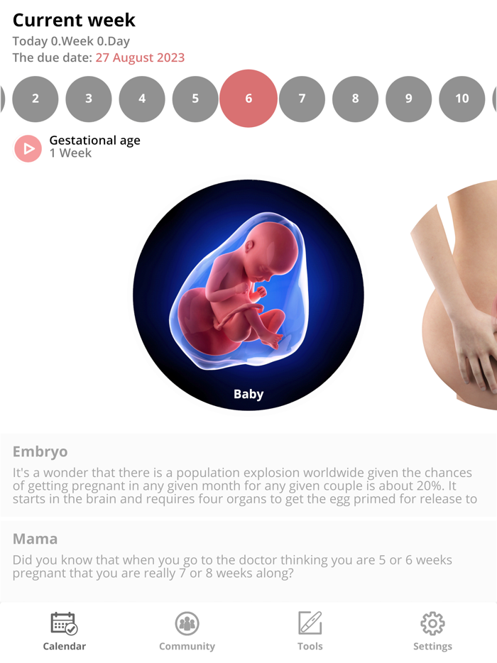 Pregnancy Tracker and Baby