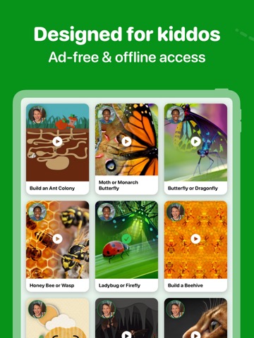 Fun Insects & Bugs for Kidsのおすすめ画像5