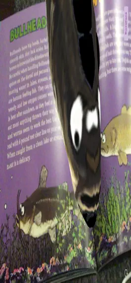 Game screenshot How To Fish AR apk