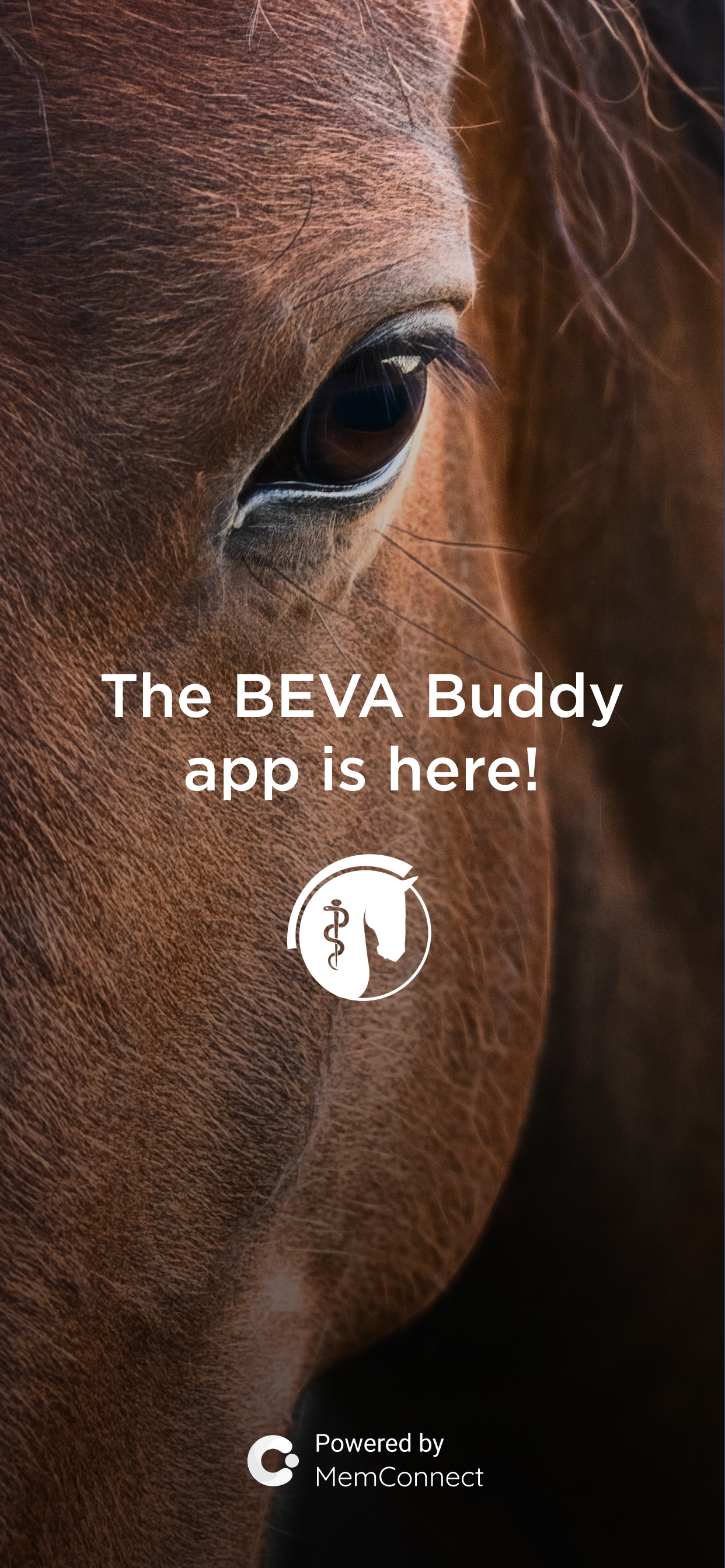 BEVA Buddy