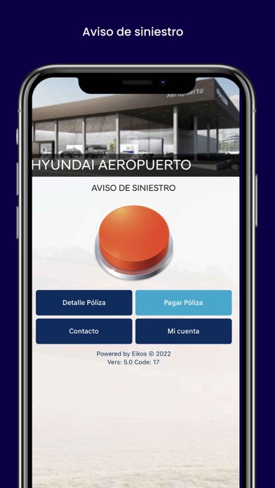 Hyundai Protect Screenshot