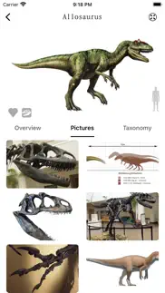 dinopedia -kids' dinosaur park iphone screenshot 4